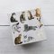 100 Pc Cube Jigsaw - Patricia Maccarthy Cats