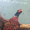 2024 Year Planner - Patricia Maccarthy Countryside