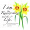 I Am the Resurrection Easter Cards (Pack of 5)
