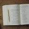 ESV Single Column Journaling Bible, Natural Leather, Brown, Flap with Strap