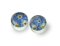 Forget Me Not Flower Earrings (Fe05)