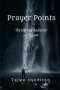 Prayer Points: The Joy and Audacity of Prayer