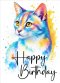 Happy Birthday Cat Card (pack of 6)