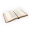 NLT Notetaking Bible: Lijiang Theme