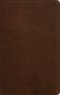 NLT Thinline Reference Bible, Filament Enabled (LeatherLike, Rustic Brown, Indexed, Red Letter)