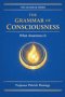 The Grammar of Consciousness: What the Mind Is