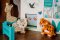 Zoo Play Set (FSC®)