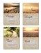 Boxed Card-Trusting In Him Assorted Empathy (KJV) (Box Of 12)