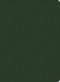 NASB Study Bible, Olive Leathertouch, Indexed