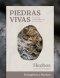 Piedras Vivas: Hechos - Estudio Bíblico