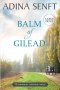 Balm of Gilead: Amish Romance Large Print