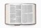 ESV Giant Print Personal Size Bible (TruTone, Forest/Tan, Trail Design)