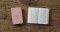 ESV Vest Pocket New Testament with Psalms and Proverbs, Red Letter (TruTone, Blush Rose, Fleur-de-lis Design)