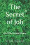 The Secret of Job: The Great Irony