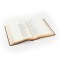NTV Spanish Notetaking Bible: Aurora Theme