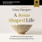 Jesus-Shaped Life Bible Study: Audio