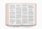 ESV Holy Bible, Dyslexia-Friendly Edition