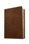 NLT Courage For Life Study Bible for Men, Filament Enabled (LeatherLike, Rustic Brown Lion, Indexed)