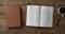 ESV Large Print Value Thinline Bible (TruTone, Camel)