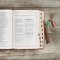 CSB She Reads Truth Bible, , Rose Gold, Imitation Leather, Thumb Indexed, Devotionals, Wide Margins, Journalling, Illustrated, Maps, Book Introductions, Topical Index, Ribbon Markers