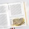 CSB Baker Illustrated Study Bible, Khaki