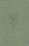 KJV Single-Column Personal Size Bible, Sage Suedesoft