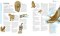 Lion Bible Encyclopedia