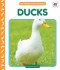 Ducks