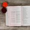CSB She Reads Truth Bible, Champagne Gold LeatherTouch, Indexed