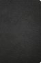 NASB Personal Size Giant Print Bible, Black Genuine Leather