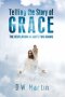 Telling the Story of Grace: The Revelation of God's Two Adams
