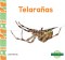 Telaranas (webs)