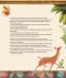 The Kingdom and the King Storybook Bible