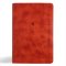 CSB Church Bible, Anglicised Edition, British Tan LeatherTouch