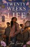 Twenty Weeks to Life: YA Christian Romance Novel