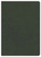 CSB Lumen Dei Bible, Lux Vitae: Single-Column Verse-By-Verse
