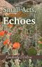 Small Acts. Endless Echoes