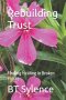 Rebuilding Trust: Finding Healing in Broken Places