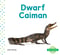 Dwarf Caiman