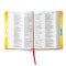 CSB One Big Story Bible