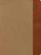 CSB Study Bible, Large Print, Khaki/Brown