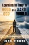 Learning to Trust a Good God in a Hard World: Turning Pain to Purpose (Lessons from the Children of Israel)