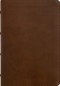 NLT Pastor's Bible, Filament Enabled (LeatherLike, Brown, Red Letter)