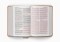 ESV Giant Print Personal Size Bible, Red Letter (TruTone, Nubuck Caramel, Wildflower Design)