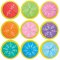 Learn Fractions Kits (Pack of 9)