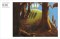 The Tale of Three Trees: A Traditional Folktale