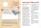 So, What Next? Journey to the Sacred Kingdom (Pack of 10)