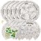 Frog Life Cycle Colour-In Sticker Wheels (Pack of 5)