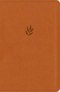NLT Personal Size Giant Print Bible, DaySpring Signature Collection, Filament Enabled (LeatherLike, Classic Tan, Red Letter)