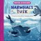 Animal Science: Narwhal\'s Tusk